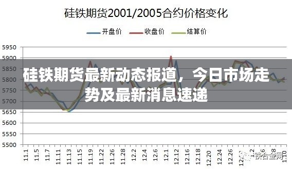 硅铁期货最新动态报道,今日市场走势及最新消息速递