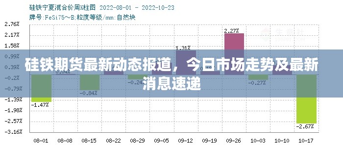 硅铁期货最新动态报道,今日市场走势及最新消息速递