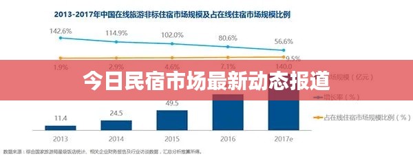 今日民宿市场最新动态报道
