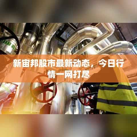 新宙邦股市最新动态，今日行情一网打尽