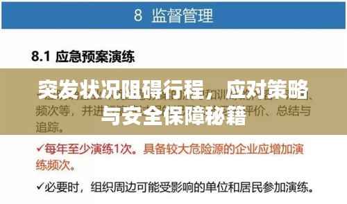 突发状况阻碍行程,应对策略与安全保障秘籍