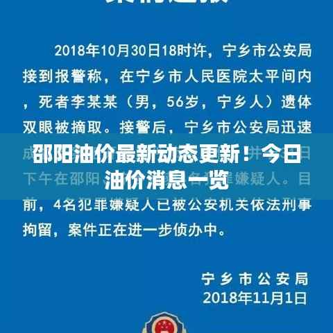 邵阳油价最新动态更新！今日油价消息一览