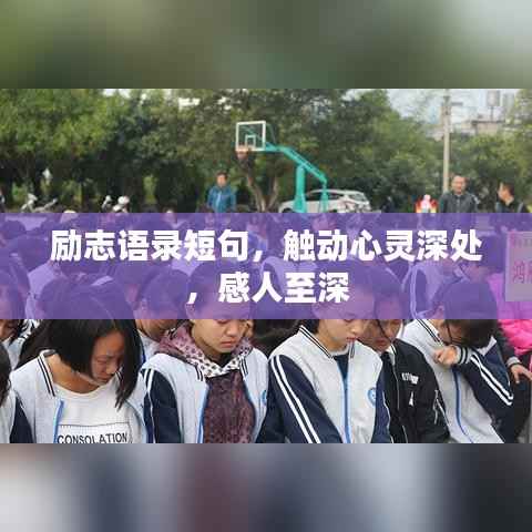 励志语录短句，触动心灵深处，感人至深