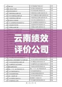云南绩效评价公司排行榜及影响力深度解析