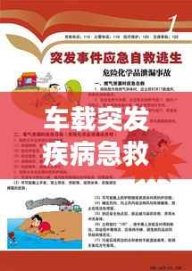 车载突发疾病急救指南,应急处理与注意事项全解析