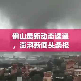 佛山最新动态速递，澎湃新闻头条报道
