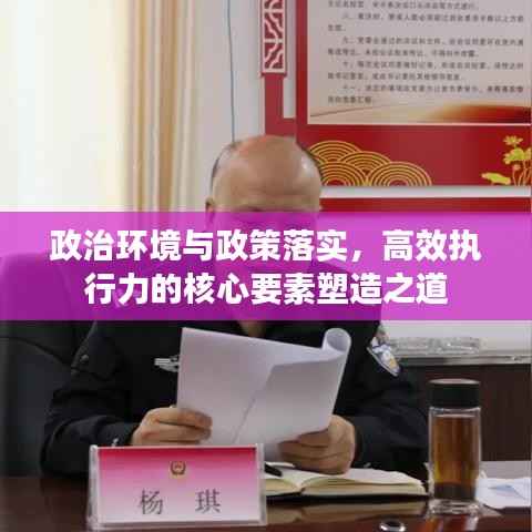 政治环境与政策落实,高效执行力的核心要素塑造之道