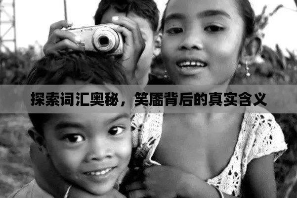 探索词汇奥秘,笑靥背后的真实含义