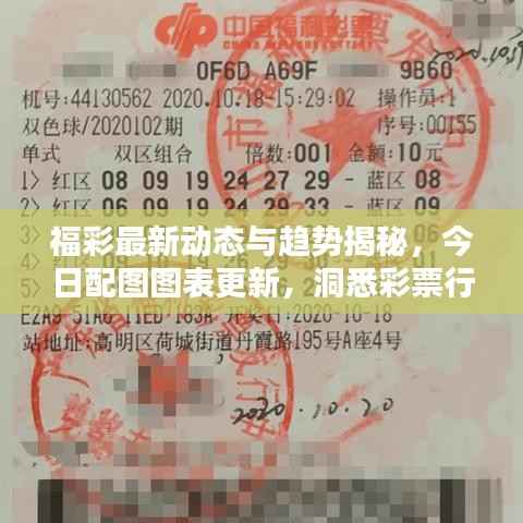 福彩最新动态与趋势揭秘,今日配图图表更新,洞悉彩票行业前沿动态