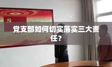 党支部如何切实落实三大责任?