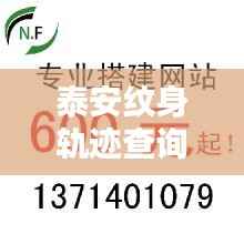泰安纹身轨迹查询网站最新动态揭秘，全方位信息解析