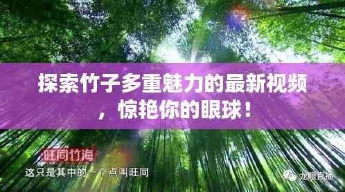 探索竹子多重魅力的最新视频,惊艳你的眼球!