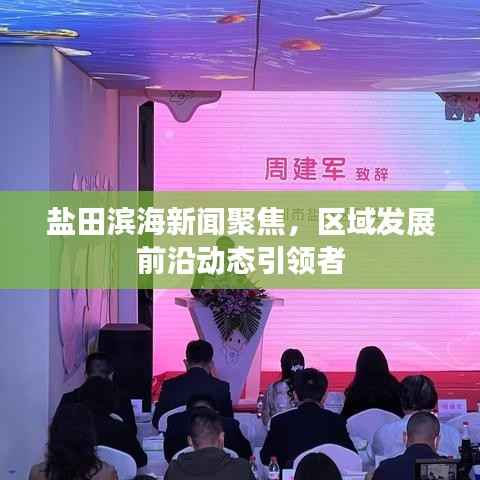 盐田滨海新闻聚焦,区域发展前沿动态引领者