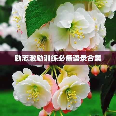 其他配件采购 第144页