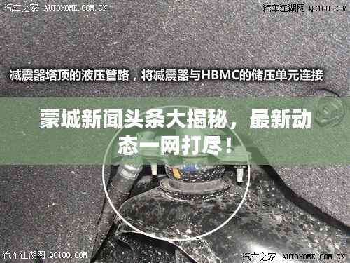 蒙城新闻头条大揭秘,最新动态一网打尽!