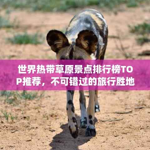 世界热带草原景点排行榜TOP推荐，不可错过的旅行胜地！