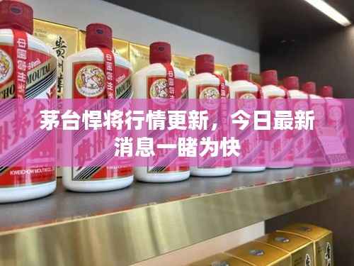 茅台悍将行情更新，今日最新消息一睹为快