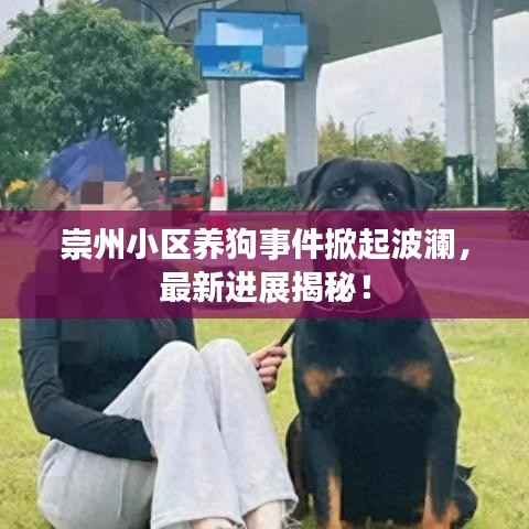 崇州小区养狗事件掀起波澜,最新进展揭秘!
