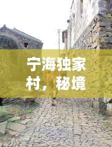 宁海独家村，秘境乡村，隐匿于世