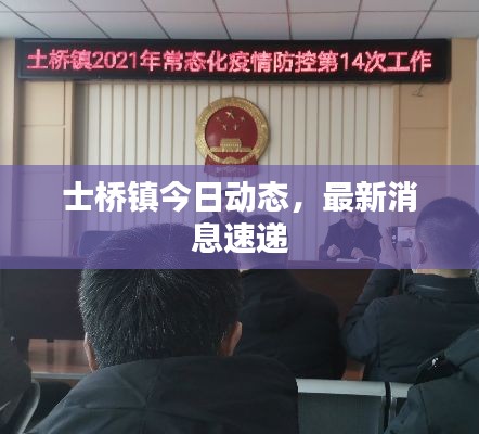 士桥镇今日动态,最新消息速递