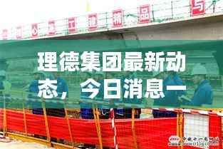 理德集团最新动态，今日消息一网打尽