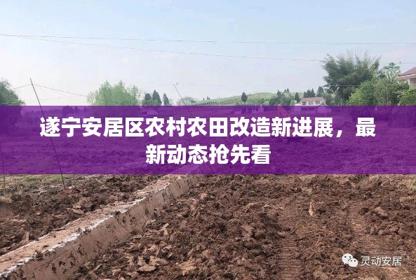 遂宁安居区农村农田改造新进展,最新动态抢先看