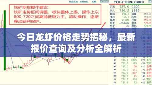 今日龙虾价格走势揭秘，最新报价查询及分析全解析
