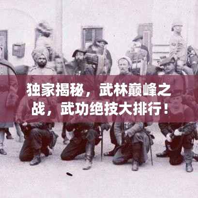 独家揭秘,武林巅峰之战,武功绝技大排行!