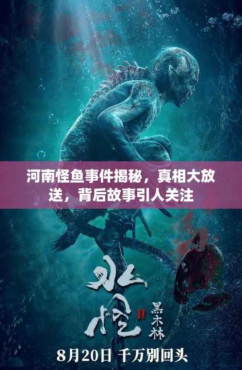 河南怪鱼事件揭秘,真相大放送,背后故事引人关注