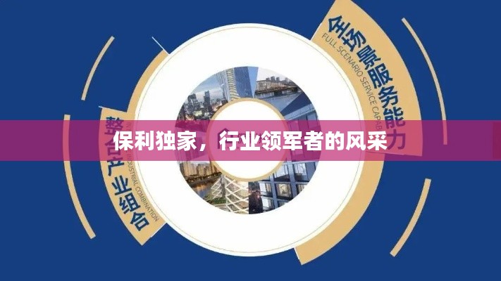 保利独家,行业领军者的风采
