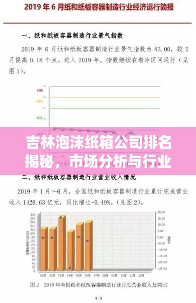 吉林泡沫纸箱公司排名揭秘,市场分析与行业洞察