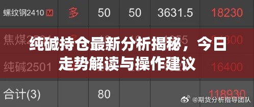 纯碱持仓最新分析揭秘，今日走势解读与操作建议