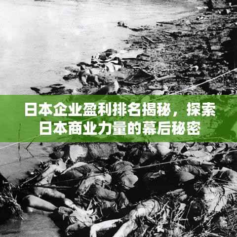 日本企业盈利排名揭秘,探索日本商业力量的幕后秘密