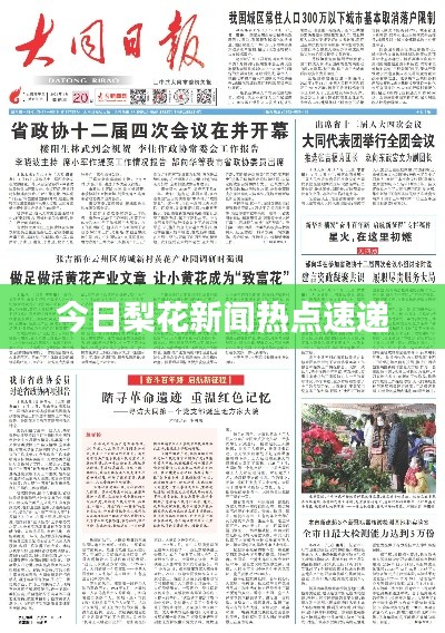 今日梨花新闻热点速递