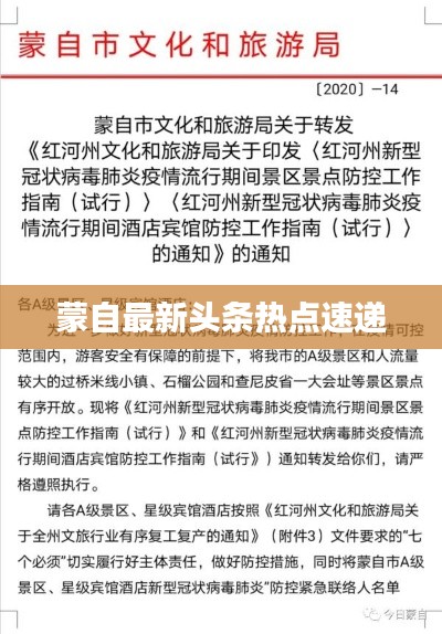 蒙自最新头条热点速递