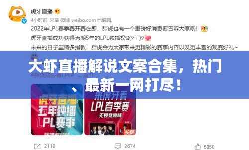 大虾直播解说文案合集,热门、最新一网打尽!