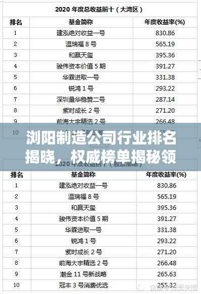 浏阳制造公司行业排名揭晓，权威榜单揭秘领军企业！