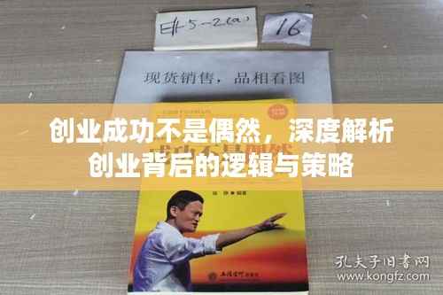 创业成功不是偶然,深度解析创业背后的逻辑与策略