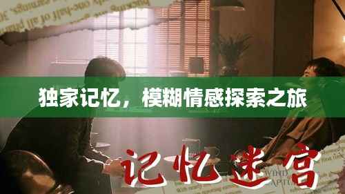 独家记忆,模糊情感探索之旅