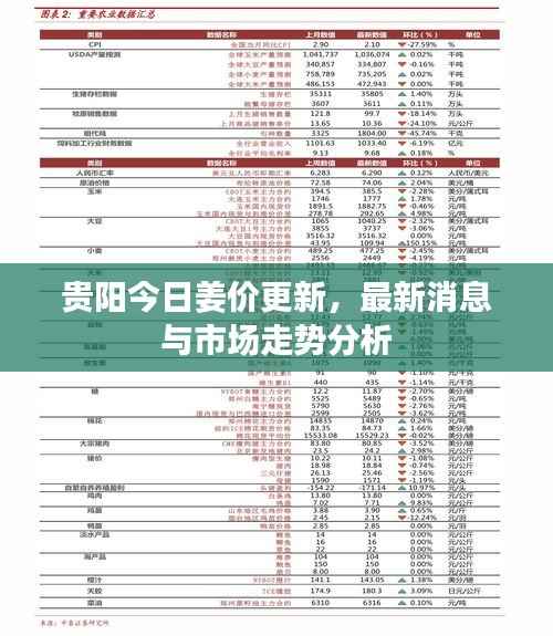 贵阳今日姜价更新,最新消息与市场走势分析