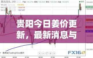 贵阳今日姜价更新,最新消息与市场走势分析