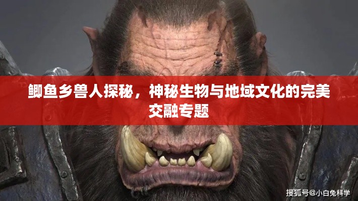 新闻中心 第136页