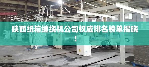 陕西纸箱缠绕机公司权威排名榜单揭晓！
