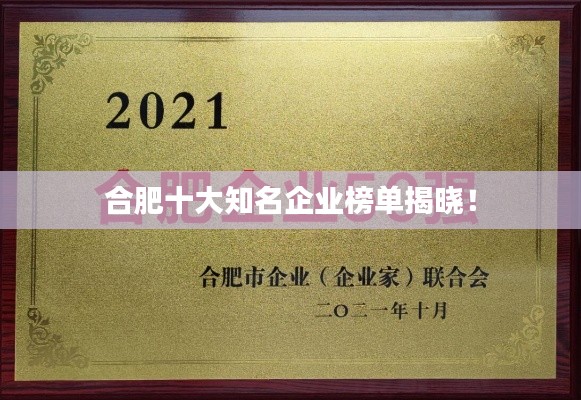 合肥十大知名企业榜单揭晓！