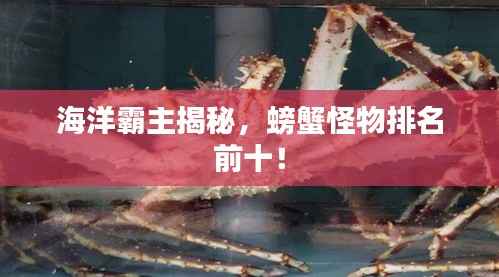 海洋霸主揭秘,螃蟹怪物排名前十!