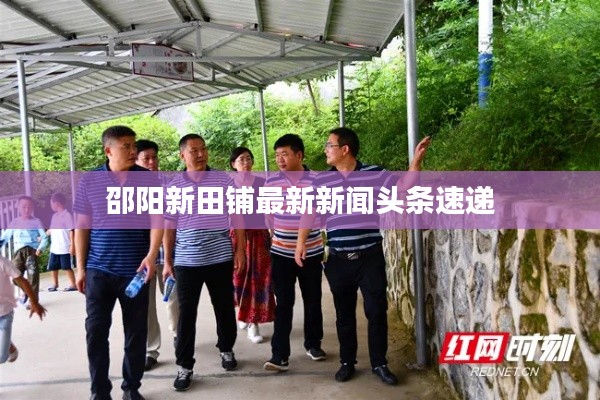 邵阳新田铺最新新闻头条速递