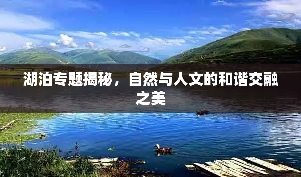 湖泊专题揭秘，自然与人文的和谐交融之美