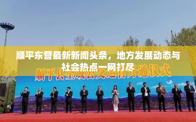 顺平东营最新新闻头条，地方发展动态与社会热点一网打尽