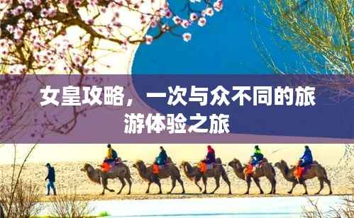女皇攻略,一次与众不同的旅游体验之旅