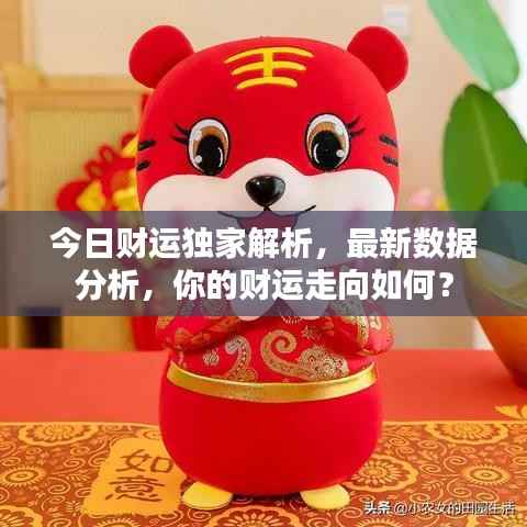 今日财运独家解析，最新数据分析，你的财运走向如何？